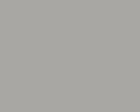 EV 1 Silber